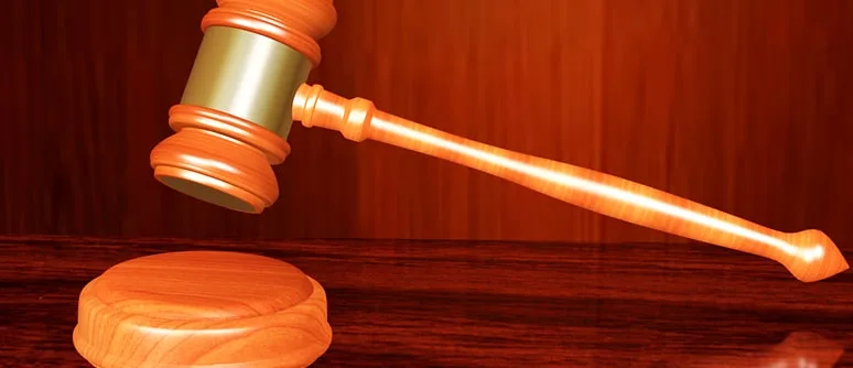 5-Child-Litigation-Facts