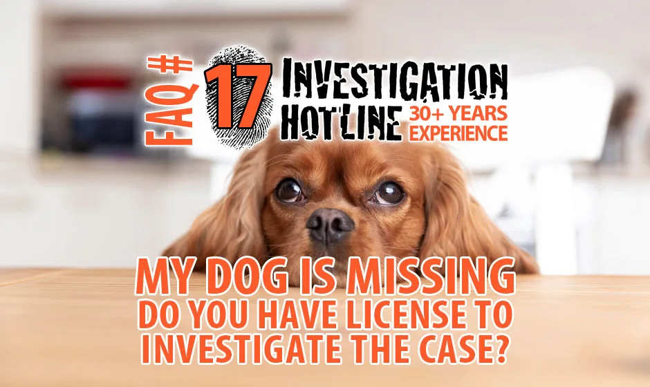 FAQ-Featured-17-My-dog-is-missing-Do-you-have-license-to-investigate-the-case-Investigation-Hotline-Private-Investigator-Toronto