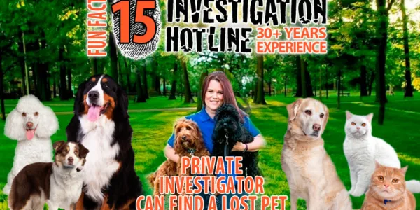 Fun-Facts-15-Private-Investigator-Can-Find-a-Lost-Pet-Investigation-Hotline-Private-Investigator-Toronto
