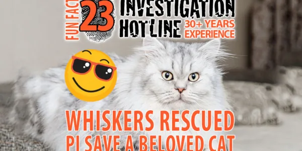 Fun-Facts-23-Private-Investigators-with-Hearts-of-Gold-Save-a-Beloved-Cat-Investigation-Hotline-Private-Investigator-Toronto